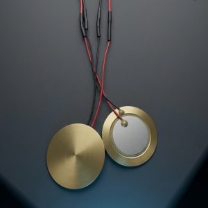 Piezo Sensor | BCN3D Sigma D25